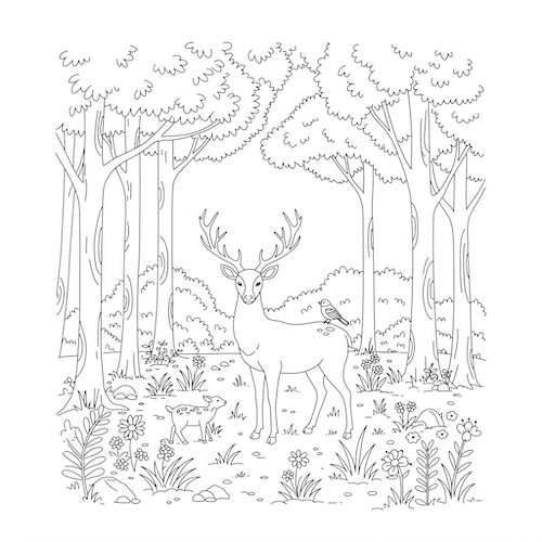 Coloriage de cerf en forêt avec arbres, oiseaux et faon