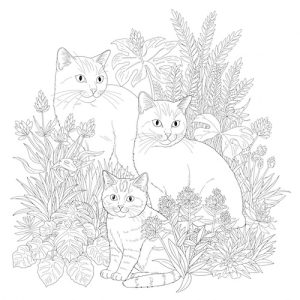 Coloriage de chats dans les plantes
