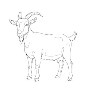 Coloriage de chèvre en art linéaire