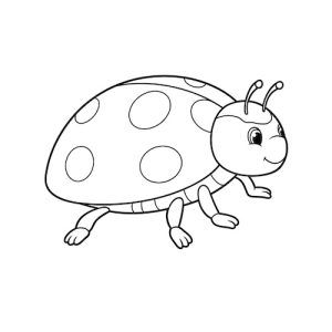 Coloriage de coccinelle insecte
