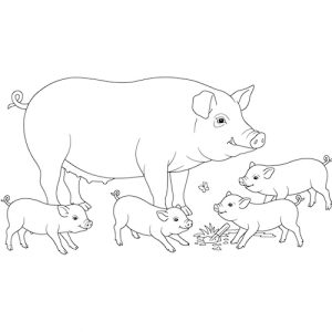 Coloriage de famille de cochons truie et porcelets