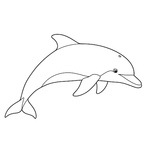 Coloriage de dauphin sautant