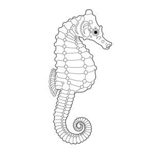 Coloriage d’hippocampe animal marin