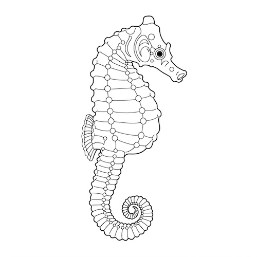 Coloriage d’hippocampe animal marin