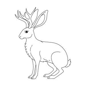 Coloriage de jackalope, créature légendaire