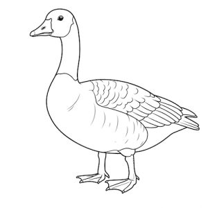 Coloriage d’oie réaliste