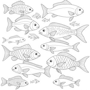 Coloriage de poissons