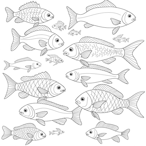 Coloriage de poissons